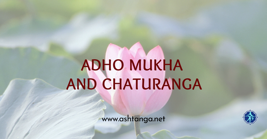 Adho Mukha and Chaturanga: The Ashtanga Core Duo