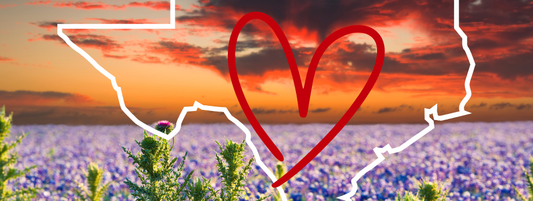 July - A Time for Warm Hearts