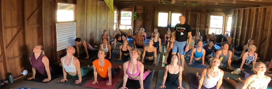 teaching yoga, pranayama, ashtanga yoga, David Swenson