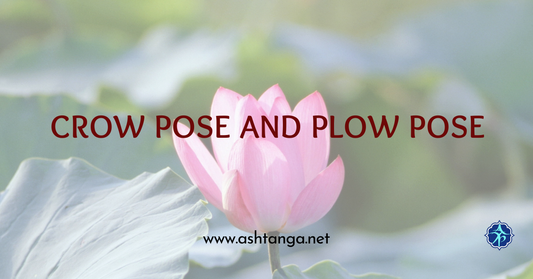 Crow Pose and Plow Pose