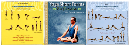 David Swenson’s Ashtanga Short Forms: Powerful Practice in Less Time