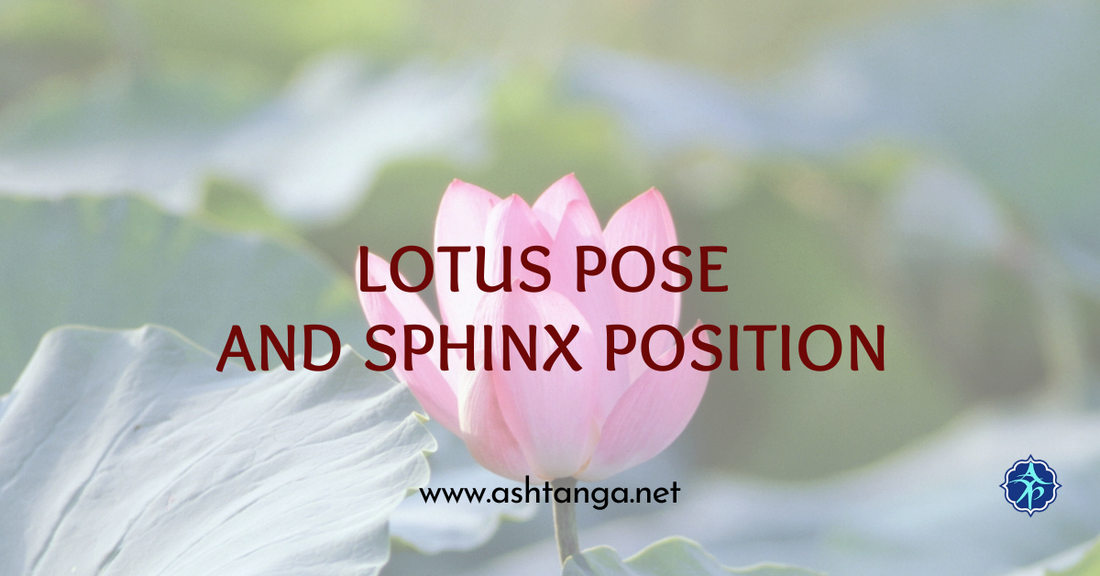 Padmasana Lotus and Sphinx Position