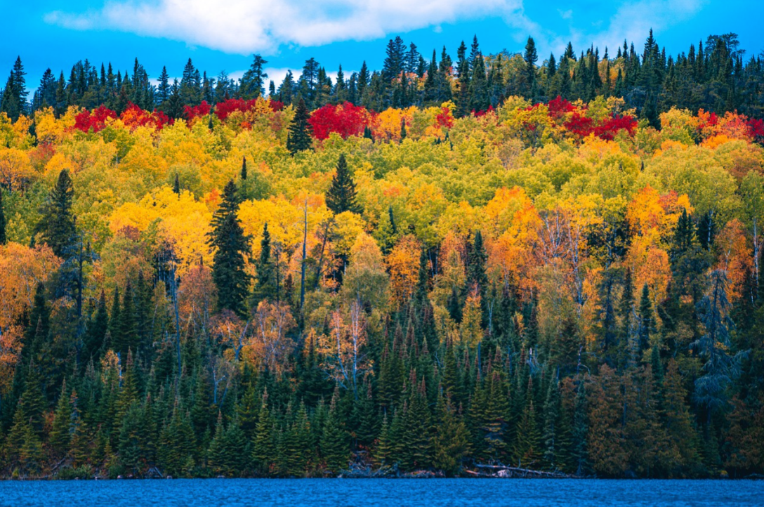 Ashtanga yoga, October! Change is inevitable, Growth is Optional