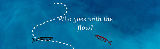 Only Dead Fish Go With The Flow: Life Lessons from David Swenson