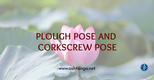 Twisting and Folding: Exploring Plough Pose and Corkscrew Pose
