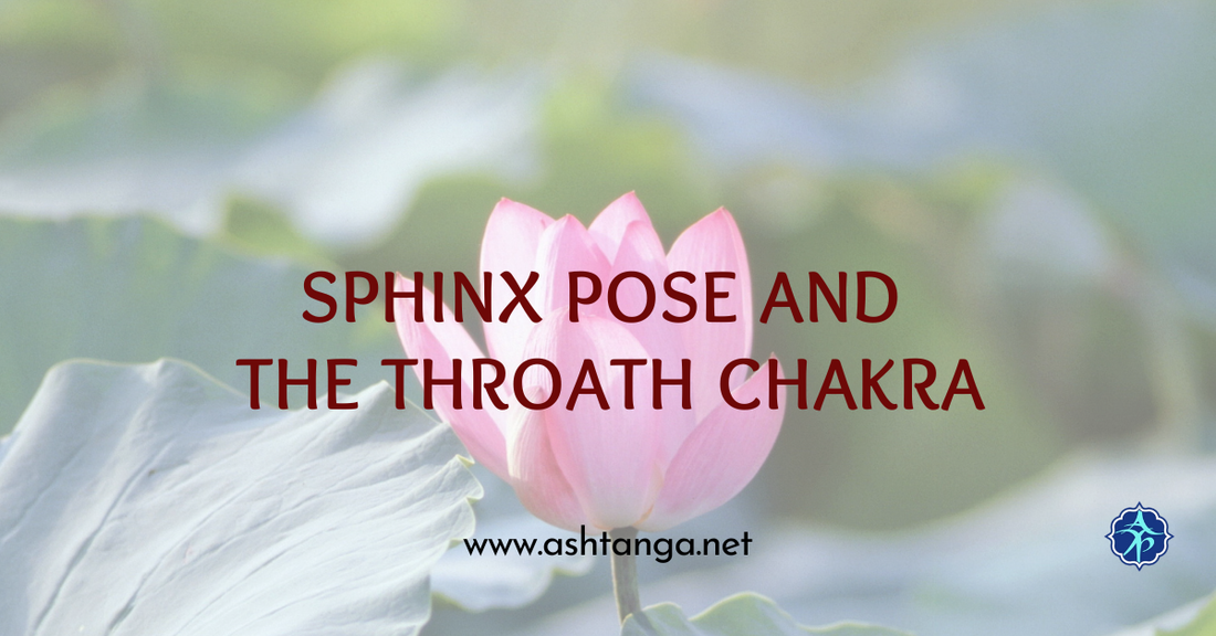 Sphinx Pose and the Throath Chakra