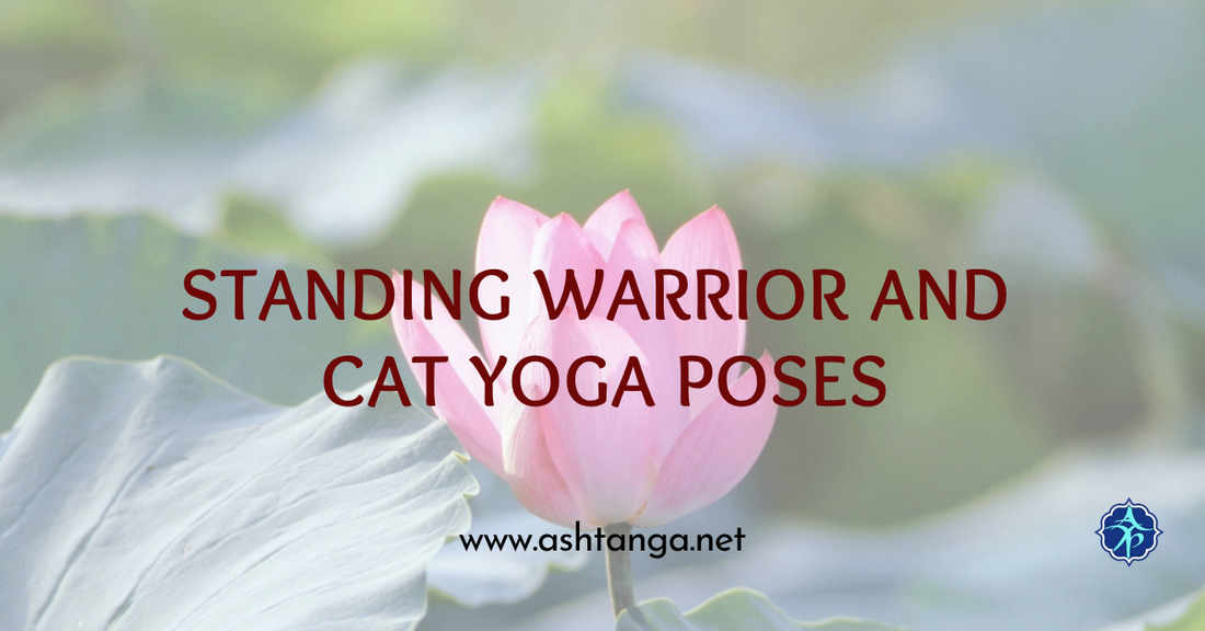 Standing Warrior and Cat Yoga Poses
