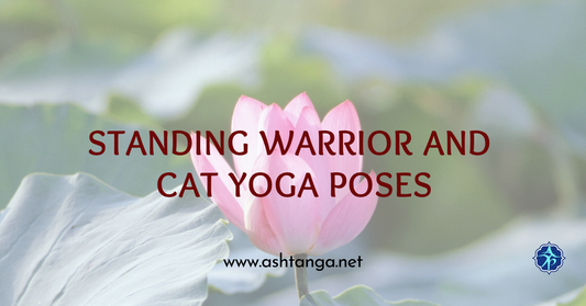 Standing Warrior and Cat Yoga Poses