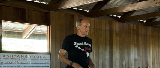 Ashtanga yoga, teaching yoga, David Swenson, Mysore On Maui
