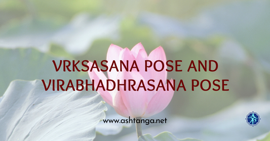 Vrksasana Pose and Virabhadrasana Pose for Balance and Strength