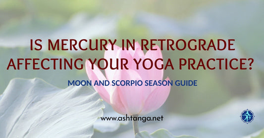 Is Mercury in Retrograde Affecting Your Yoga Practice? Moon and Scorpio Season Guide