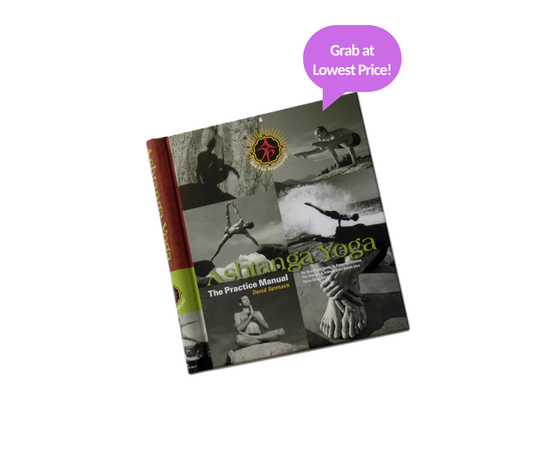 Ashtanga Yoga - The Practice Manual