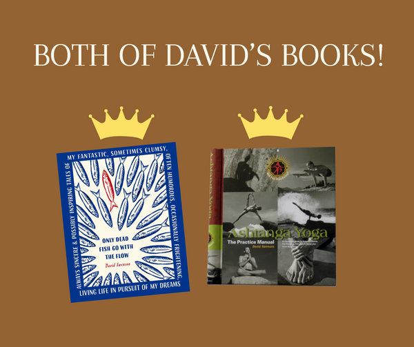 David's Bundle